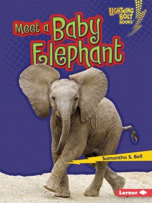 cover image of Meet a Baby Elephant